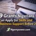 10 Active Grants Nigerians Can Apply for Skills and Business Support 2026 6 Active Grants in nigeria today
