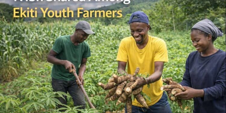 Ekiti Distributes ₦1bn Farming Proceeds to 4,657 Youths 1 Ekiti Distributes ₦1bn Farming Proceeds