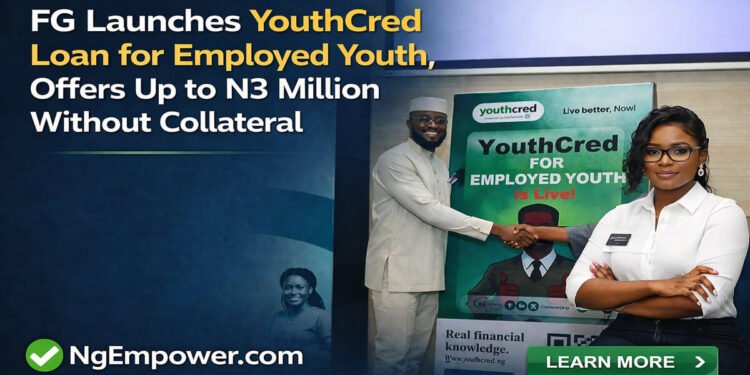 FG Launches YouthCred Loan for Employed Youth, Offers Up to N3 Million Without Collateral