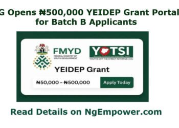 YEIDEP Grant Portal for Batch B Applicants