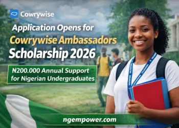 Cowrywise Ambassadors Scholarship 2026
