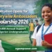 Cowrywise Ambassadors Scholarship 2026