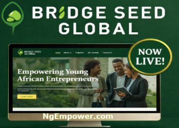 Bridge Seed Global Opens 2026 Accelerator for African Startups