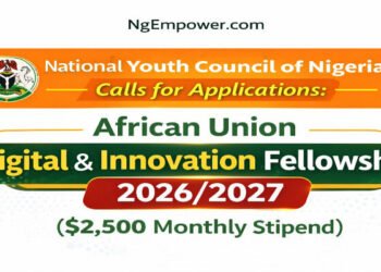 African Union Digital & Innovation Fellowship 2026/2027