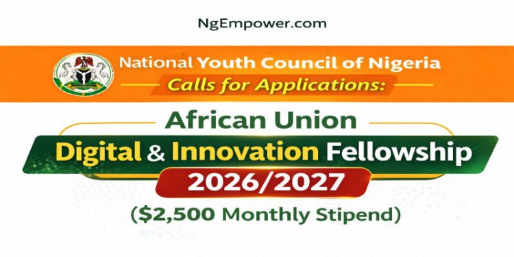 African Union Digital & Innovation Fellowship 2026/2027